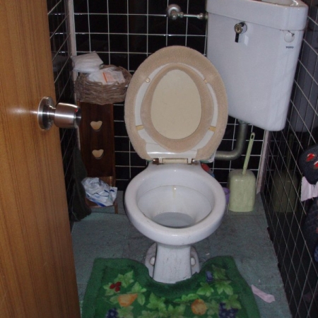 wc-750x1000.jpg